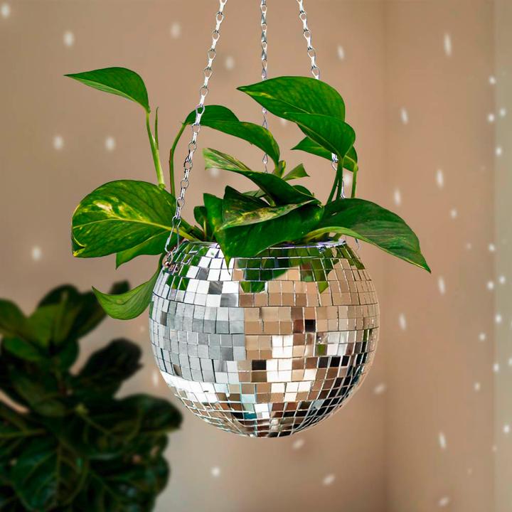 Actual product image Mikamax Funky Disco Planter