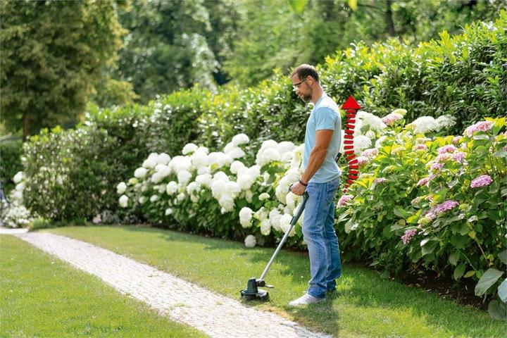 Actual product image Bosch Home & Garden GrassCut 18-260 (Trim line)