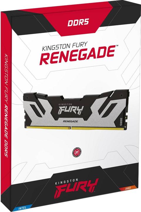 Image du produit Kingston 16Go 7600MT/s DDR5 CL38 DIMM FURY Renegade Silver XMP (1 x 16GB, 7600 MHz, RAM DDR5, DIMM)