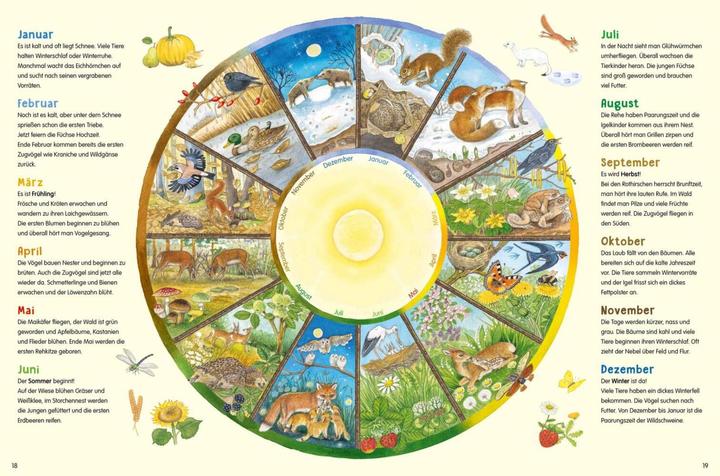 Produktbild Mein grosses Tiere-Wimmelbuch (Deutsch, Christine Henkel, 2021)