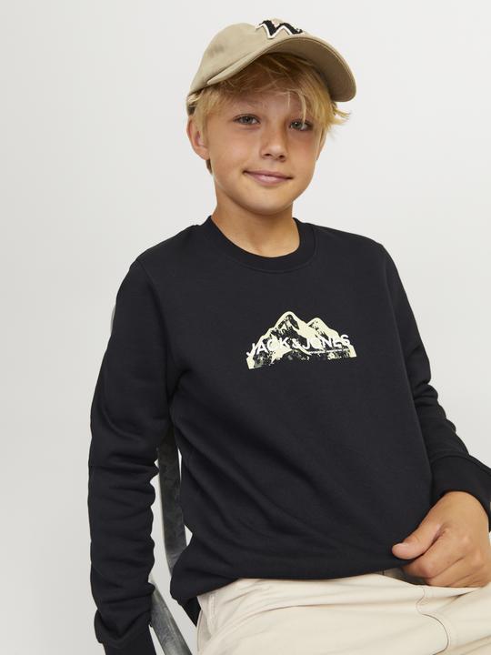 Actual product image Jack & Jones Jcomountain Logo Sweat Crew Neck Sn Mni (116)