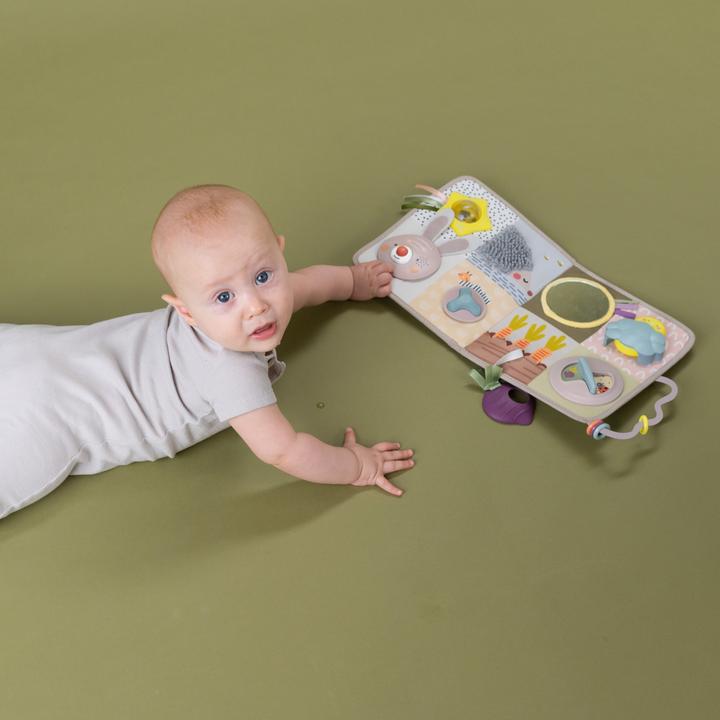 Image du produit Taf Toys Centre dactivits