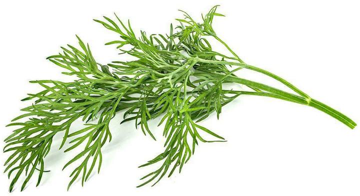 Produktbild Click and Grow Dill (Kräutersamen)