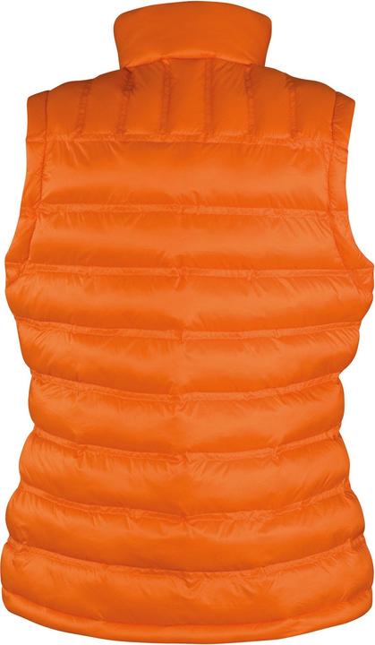 Actual product image Result Womens/Ladies Ice Bird Padded Gilet (40 D)