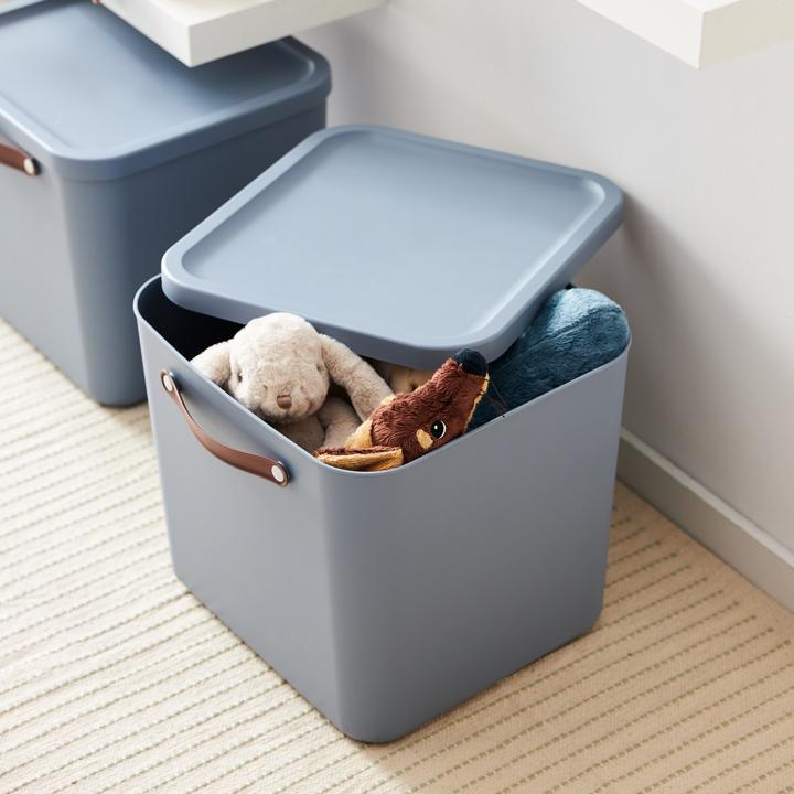 Immagine prodotto Rotho Aufbewahrungsbox 40 l MALOJA (40 l)