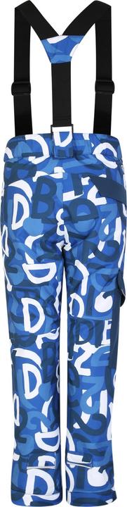 Actual product image Dare2b Childrens/Kids Pow Graffiti Ski Trousers (170, 176)