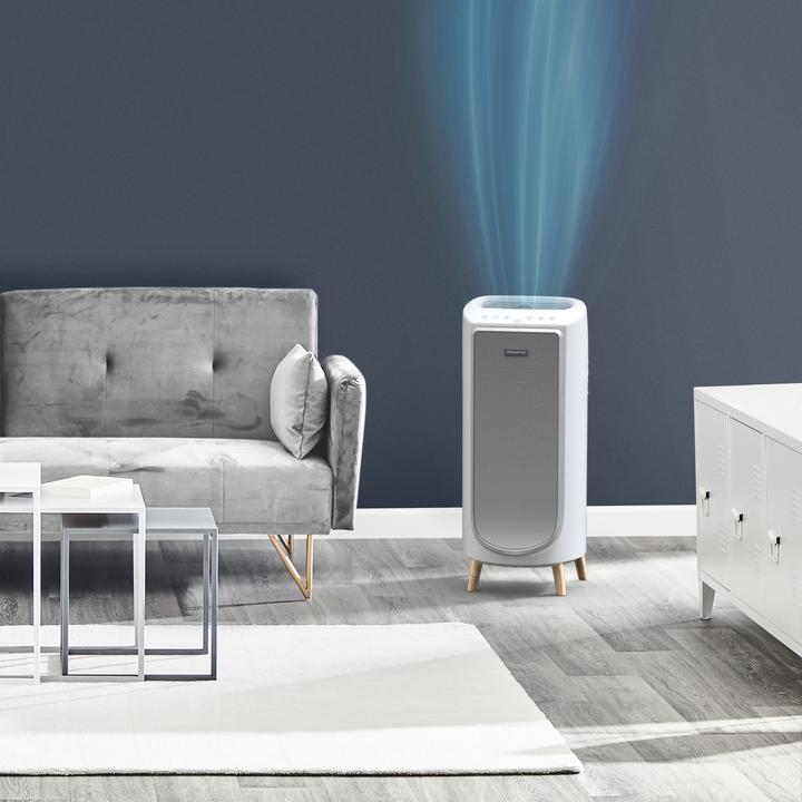 Image du produit Rowenta Intense Pure Air (36 m²)