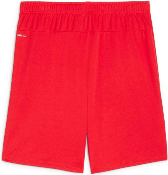 Immagine prodotto Puma pantaloncini TeamGOAL (XL)
