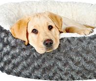 Image du produit Trixie Matelas vital Bendson (Chien)