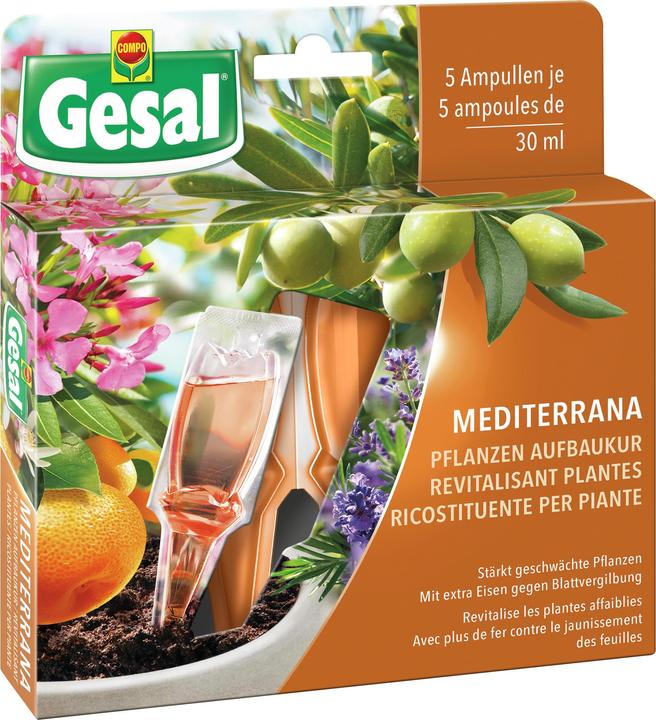 Produktbild Gesal Mediterrana Pflanzen Aufbaukur (0.65 kg, 0.15 l)