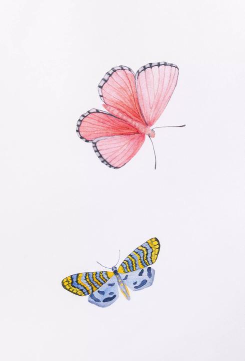 Image du produit Schlossberg Jil-Noblesse (Housse de couette, 200 x 210 cm)