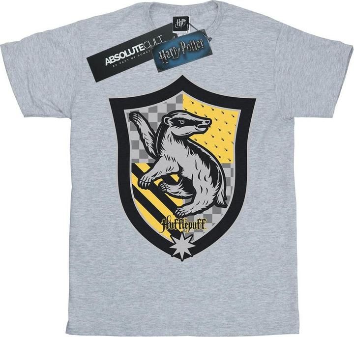 Image du produit - T-shirt HUFFLEPUFF CREST FLAT - Homme (XL)