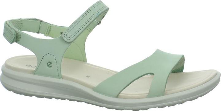 Ecco Cruise II