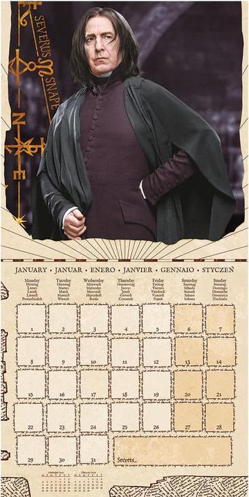 Produktbild Pyramid Harry Potter Kalender 2024 Magical Fundations (30 x 30 cm, Englisch)