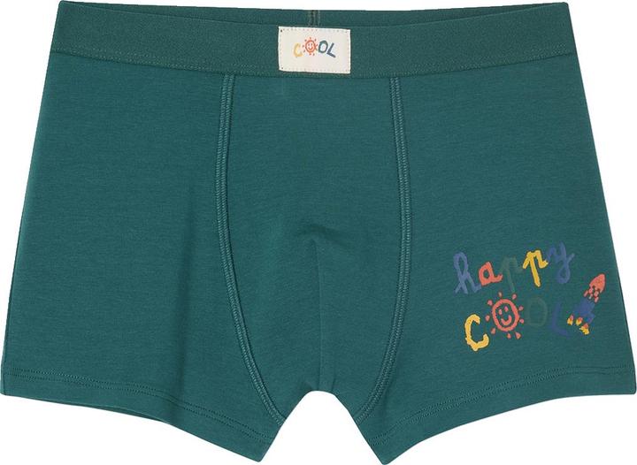 Actual product image Vertbaudet Bio-Kollektion: 5er-Pack Jungen Stretch-Boxershorts COOL (104, 5-pack)