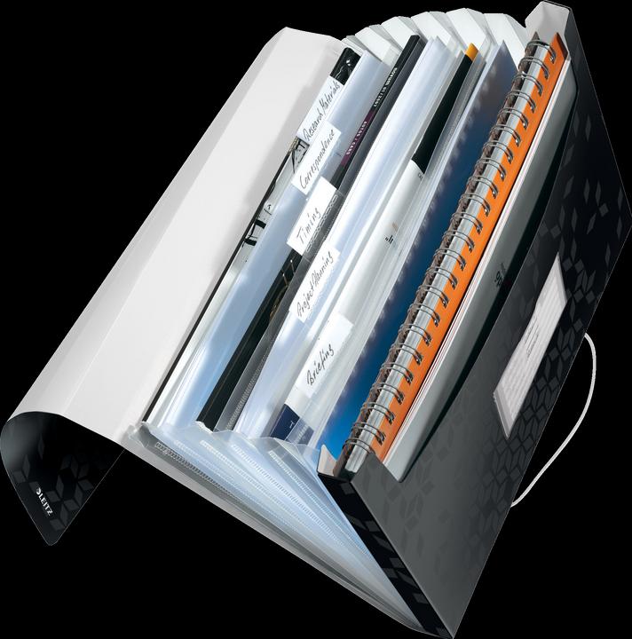 Actual product image Leitz WOW - Project folders (A4, 1 x)