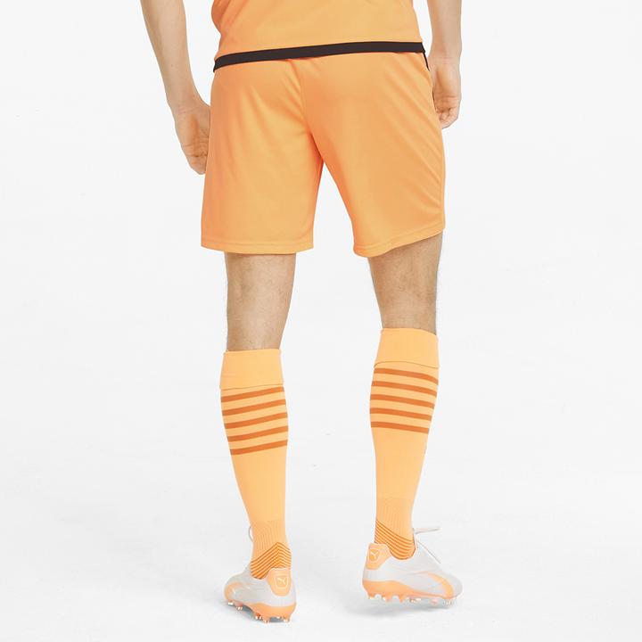 Actual product image Puma teamLIGA shorts (XL)
