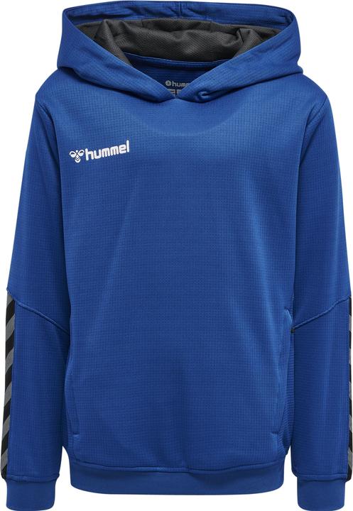Actual product image hummel Authentic Kids Poly Hoodie (140)