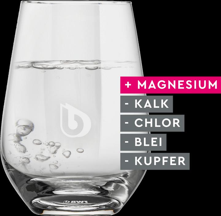 Actual product image BWT Magnesium Mineralized Water Filter Cartridges (3 x)