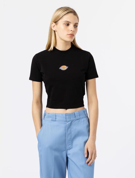 Actual product image Dickies Maple Valley Tee Black (XS)