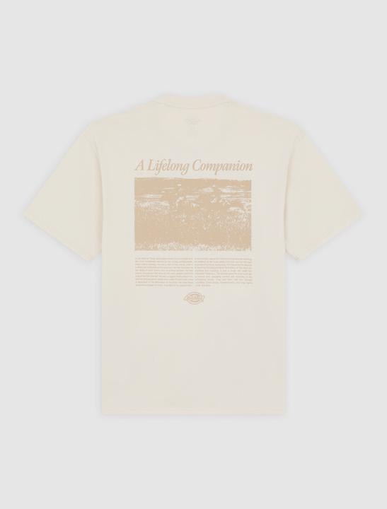Actual product image Dickies Companion Script SS Tee (S)