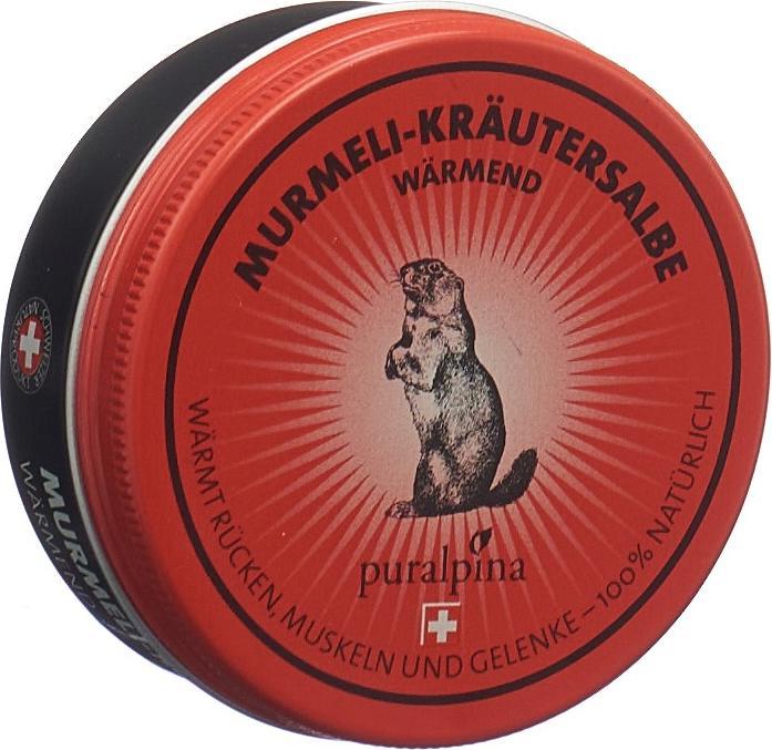 Actual product image Puralpina Murmeli herbal ointment (1 x, 50 ml, 60 g)