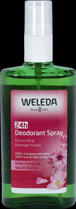 Produktbild Weleda Wildrosen Deodorant (Spray, 100 ml)