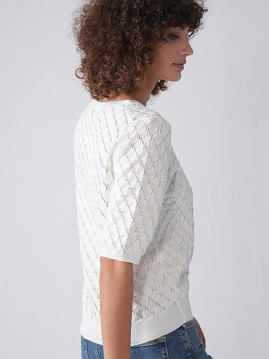 Produktbild Lanius Ajour (34)