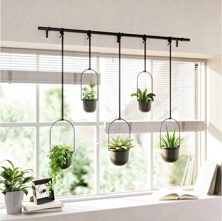 Actual product image Umbra Triflora (137 cm)