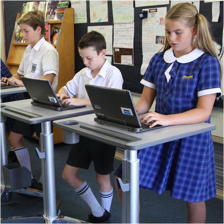 Actual product image Ergotron roll stand, LearnFit Desk, adjustable