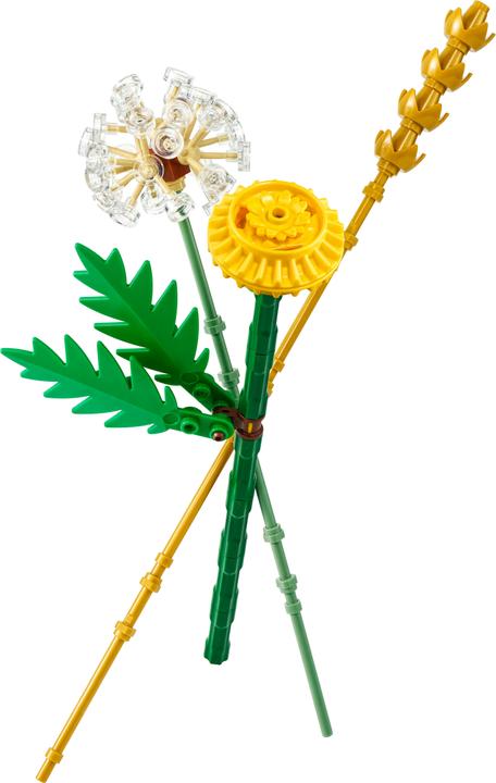 Image du produit LEGO Fleurs des champs (30701, LEGO Botanical)