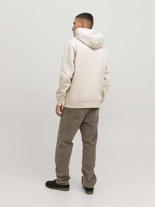 Image du produit Jack & Jones Sweat à capuche (XS)