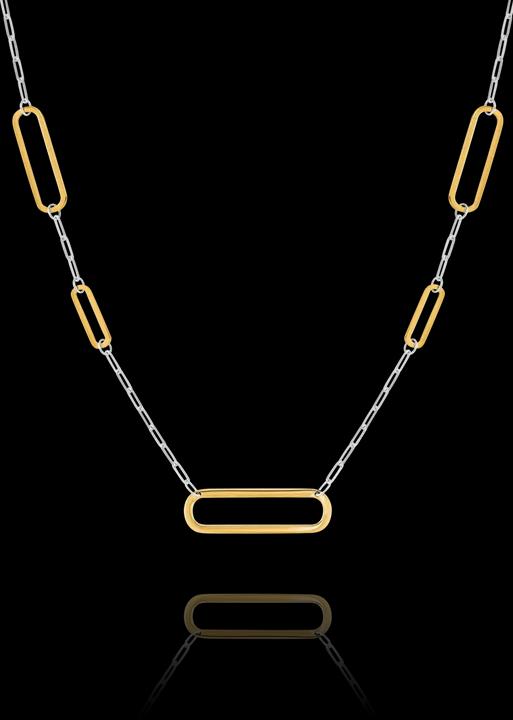 Produktbild Charles Garnier Zweifarbige silberne Halskette (925er Silber)