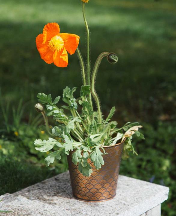 Immagine prodotto Esmée Vaso da fiori / fioriera Orient, lamiera (16 cm)