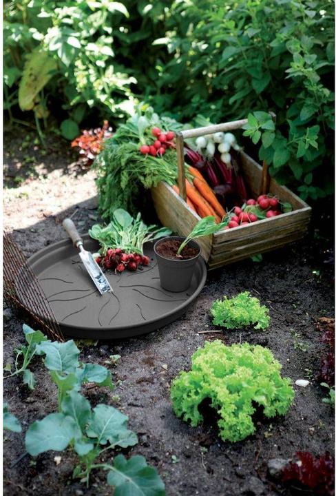 Produktbild Elho Green Basics Untersetzer