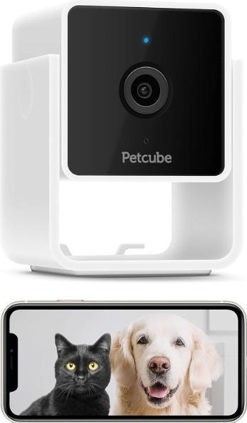 Produktbild Petcube Haustierkamera (Katzenminzespielzeug)