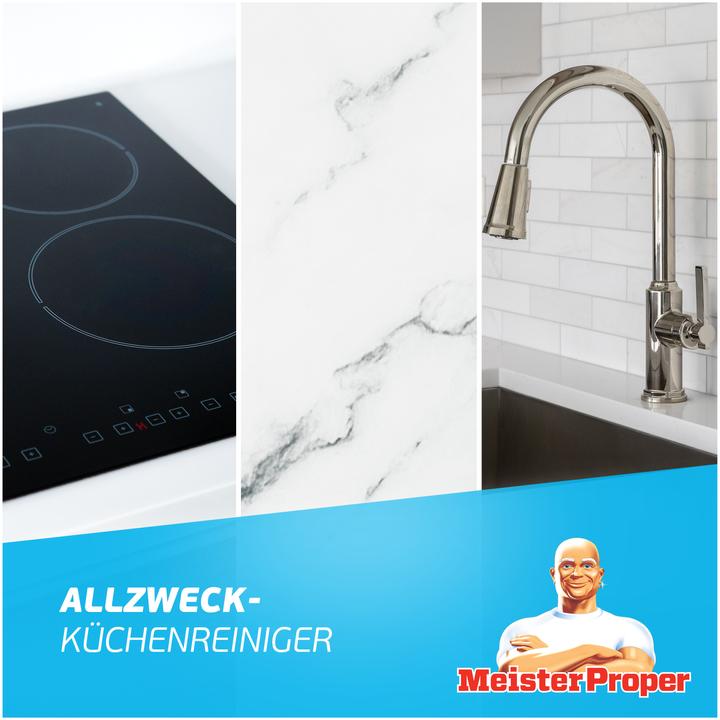 Actual product image Meister Proper Sprühen Wischen Fertig