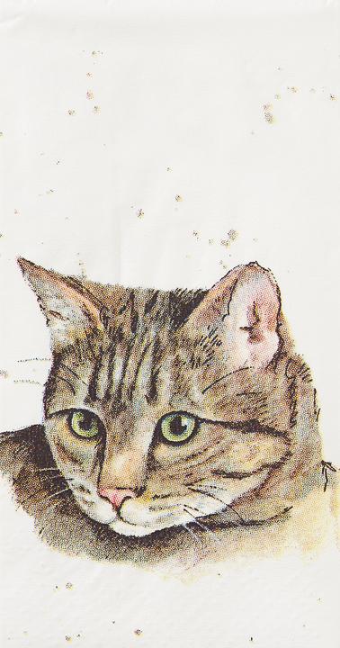 Produktbild IHR Taschentuch Farmfriends Cat