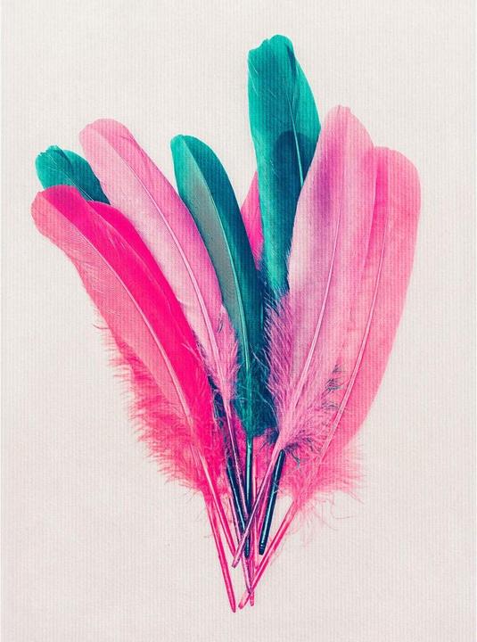 Image du produit Trenddeko Bouquet de plumes (240 x 300 cm)