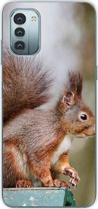 Squirrels