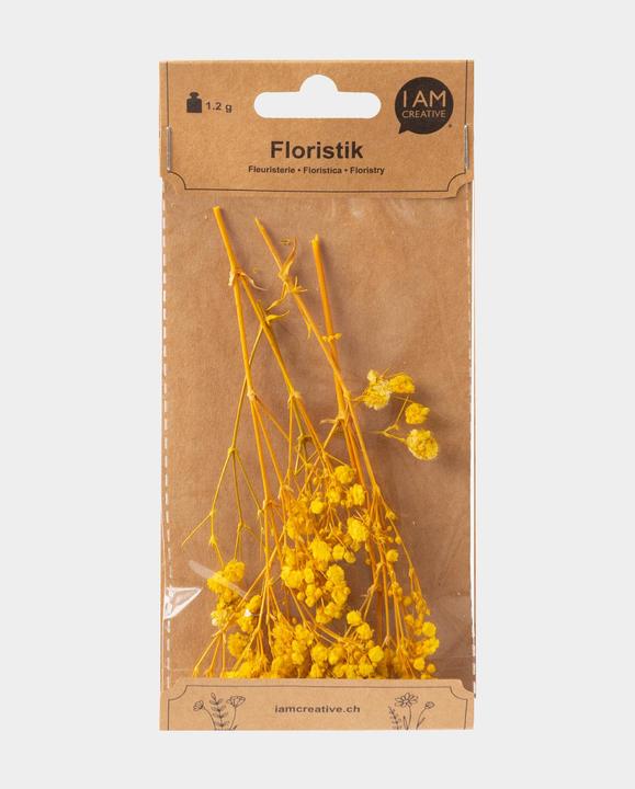 Actual product image I Am Creative Dried flowers yarrow (Dried flowers)