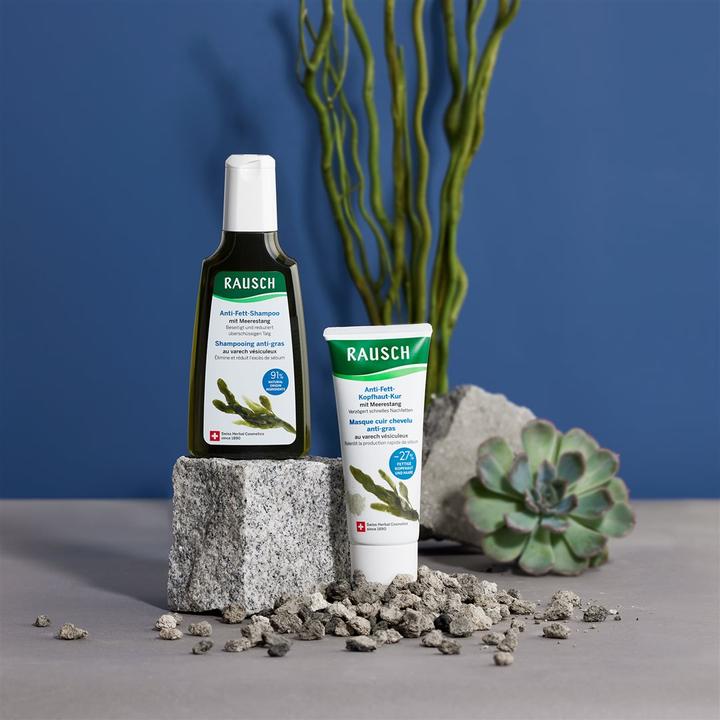 Produktbild Rausch Anti-Fett-Shampoo mit Meerestang (40 ml, Flüssiges Shampoo)