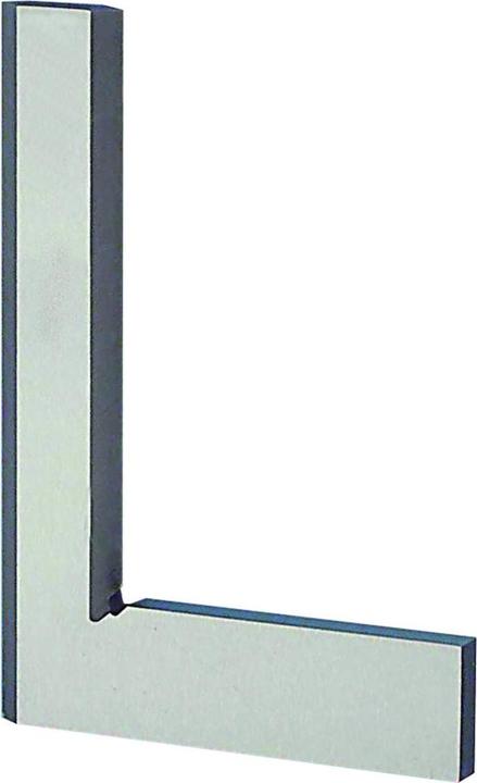 Immagine prodotto Forum Professional Solutions Quadro di precisione per capelli, DIN 875/00, inossidabile, 100 x 70 mm