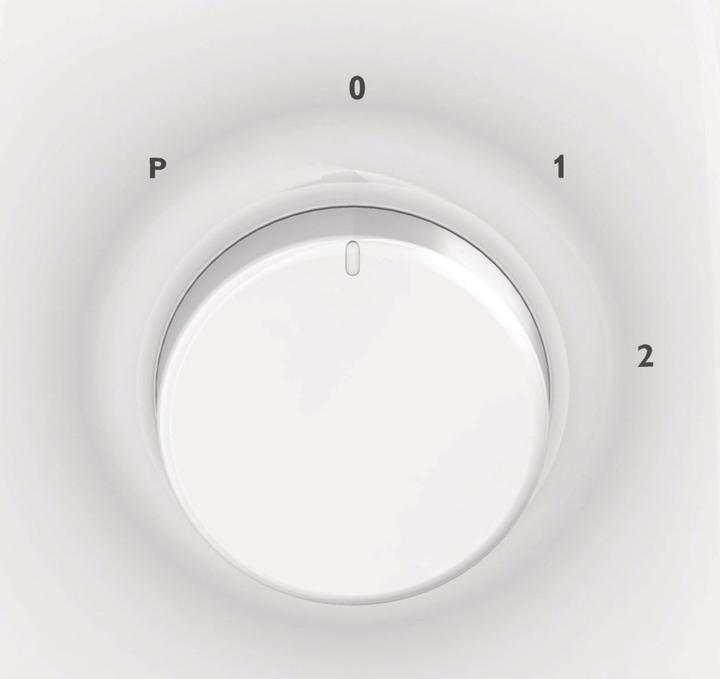Actual product image Philips Hr2100/00 (400 W)