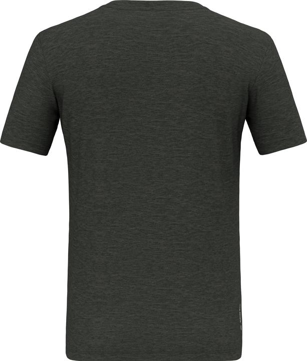 Actual product image Salewa Eagle Eitd Merino T-Shirt (L, W50/L30)