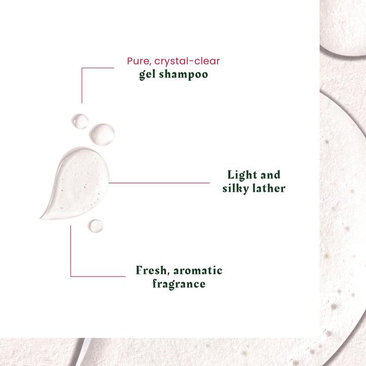 Produktbild Rene Furterer Neopur Shampoo fettige Schuppen (150 ml, Flüssiges Shampoo)