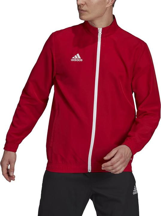Actual product image adidas Entrada 22 presentation jacket men (XXL)