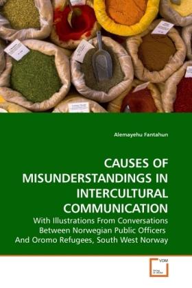 Actual product image Causes Of Misunderstandings In Intercultural Communication (German, Alemayehu Fantahun, 2010)