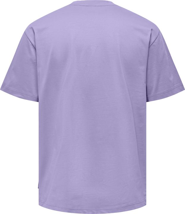 Produktbild Only & Sons Onsfred Life Rlx Ss Tee Noos (M)