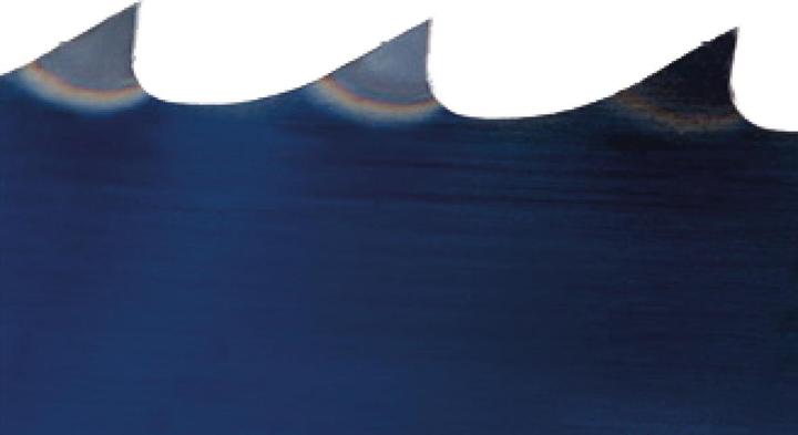 Actual product image Holzstar Saw blade 3378 x 6.0 x 0.65 mm, 6 teeth